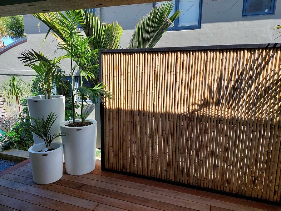 Bamboo Fence and Designer Pots